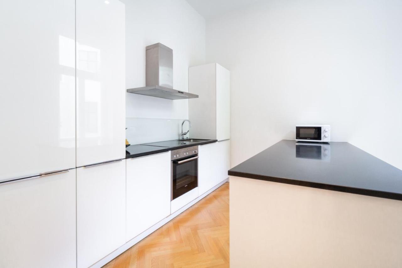 Large Luxury Near Townhall & Votivkirche Appartamento